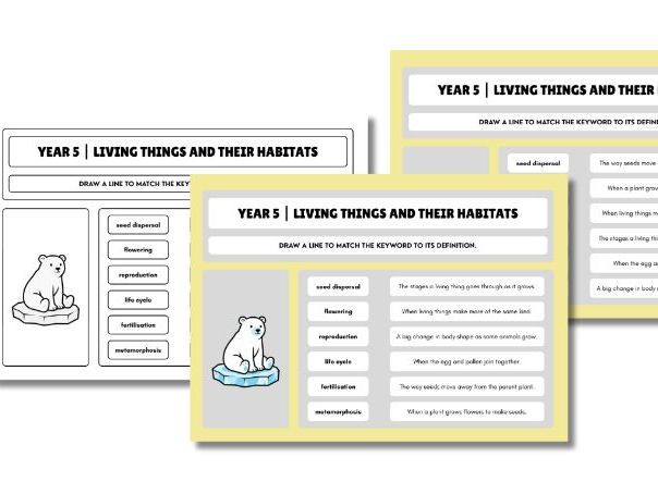 Year 5 Science Vocabulary Match | Canva Editable Worksheets