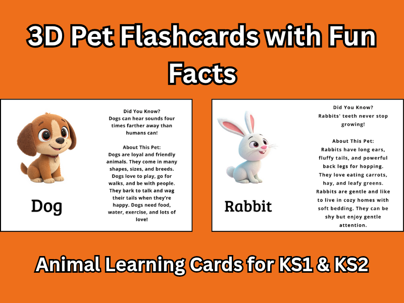 3D Pet Flashcards with Fun Facts | Animal Learning Cards for KS1 & KS2