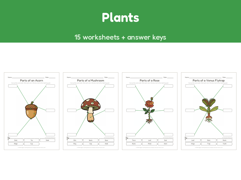 Plants | Label the Parts Worksheets | 15 Sheets + Answers | Ages 5-7