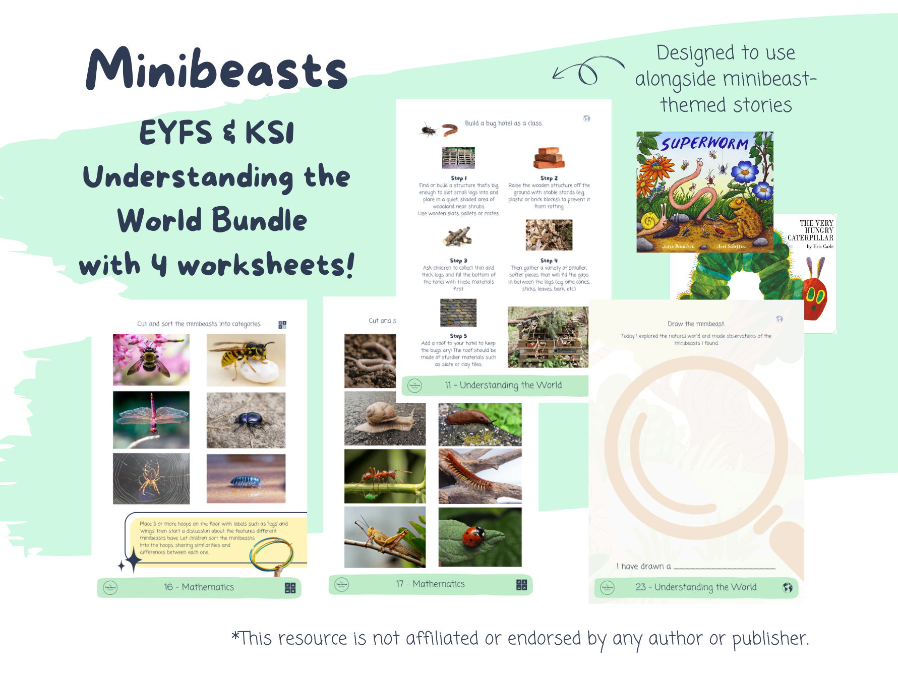 Minibeasts Understanding the World Bundle