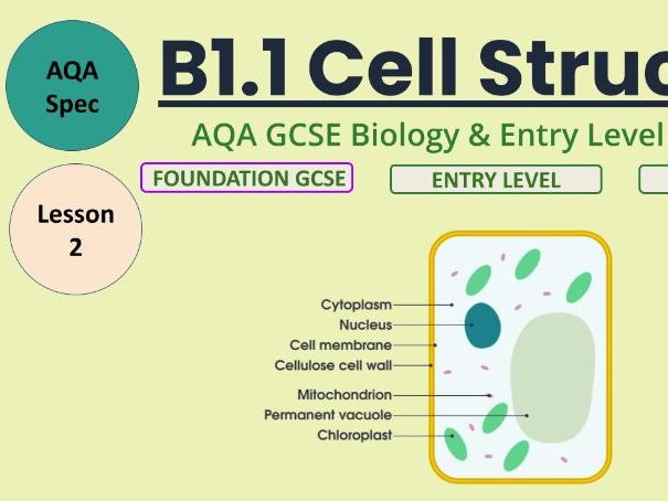 Cell Structure: Plant Cells: AQA GCSE Biology B1 Lesson (SEND / Entry Level Adapted)