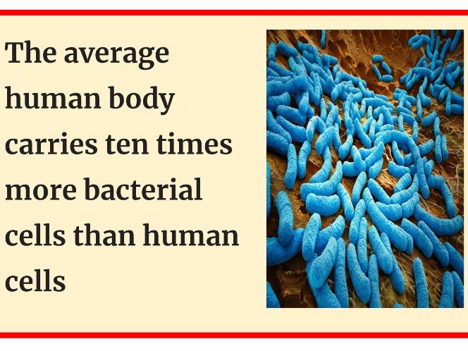 Science facts for display