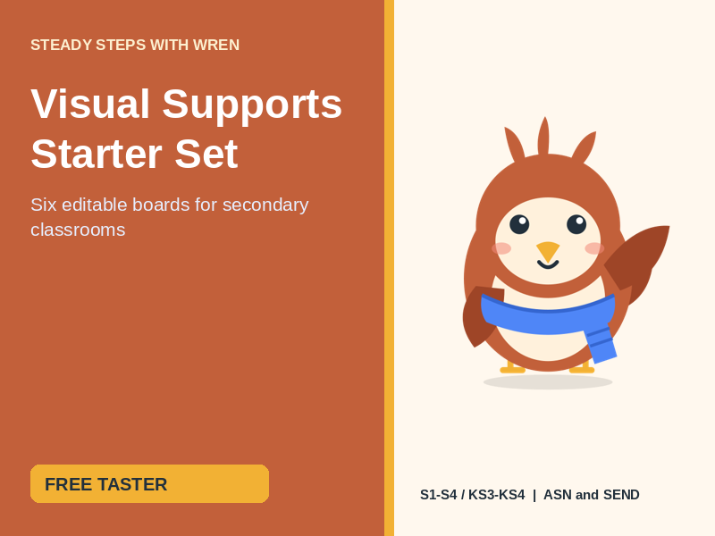 FREE Visual Supports Starter Set: Secondary