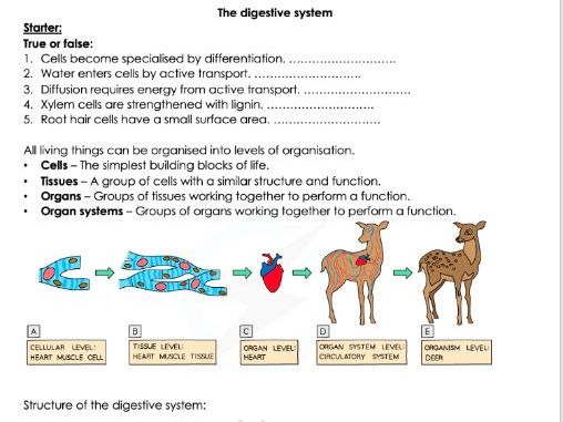 B2 Organisation booklet