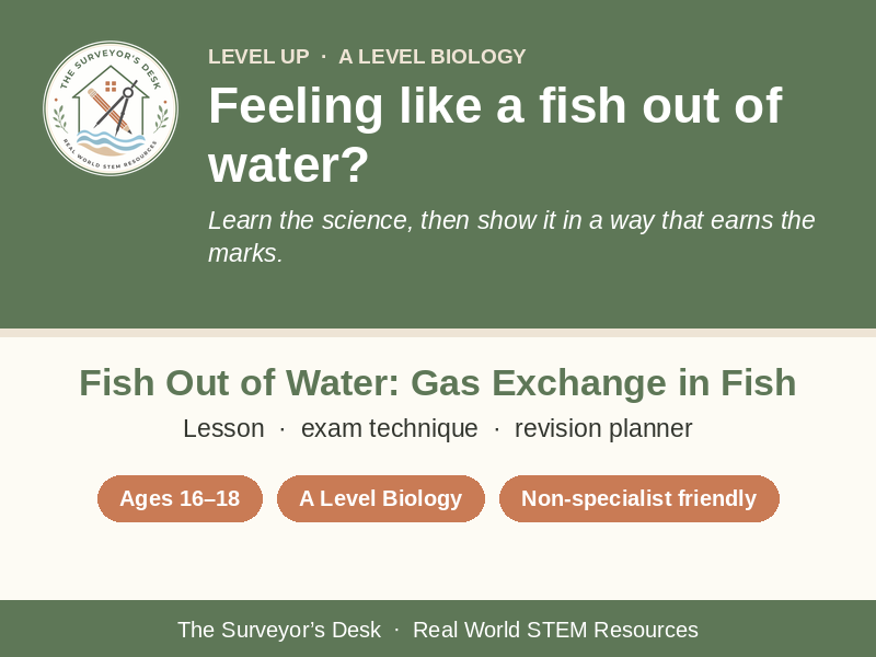 Gas Exchange in Fish Gills | Counter-Current Flow Biology Lesson and Exam Practice