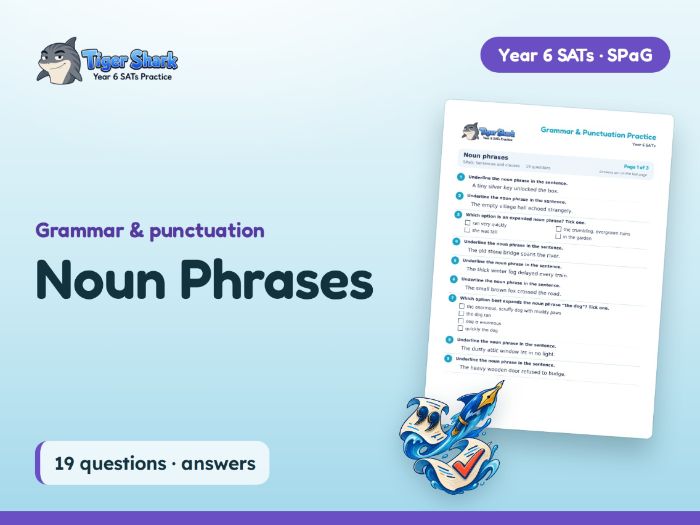 Noun Phrases Worksheet: Year 6 SATs SPaG