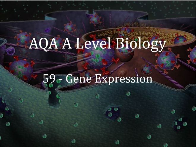 WHAT IS A GENE A LEVEL BIOLOGY DEFINITION visual data 3
