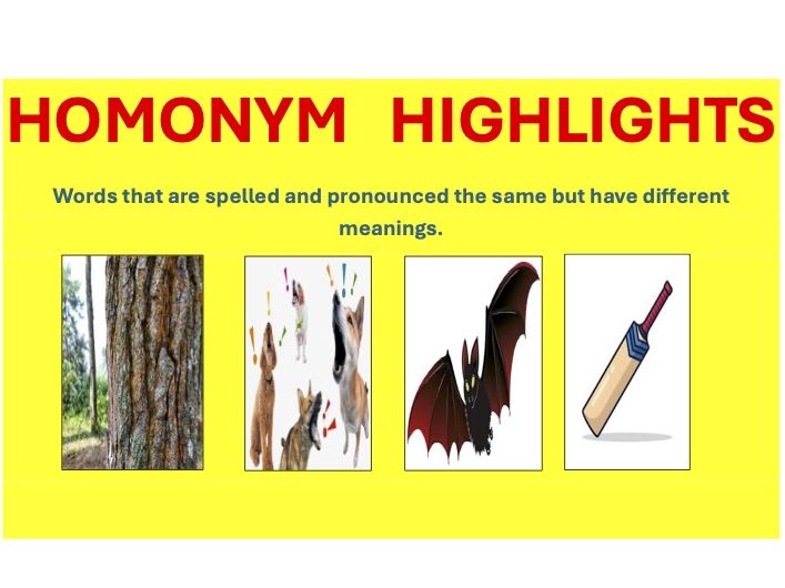 Homonym Highlights