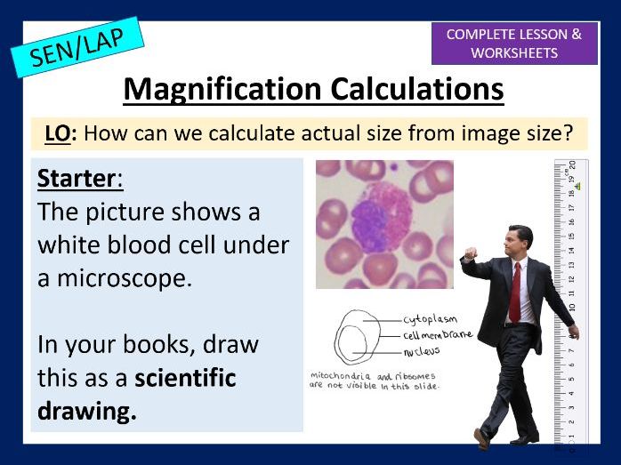 Magnification Calculations
