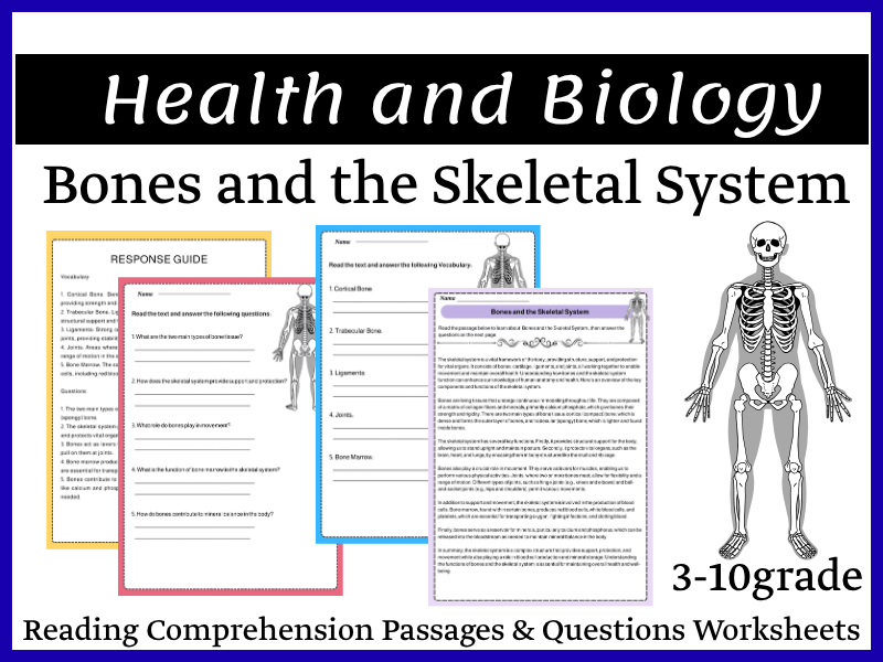 Bones and the Skeletal System: Reading Comprehension Worksheet