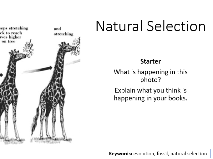 AQA Activate 2 Natural Selection