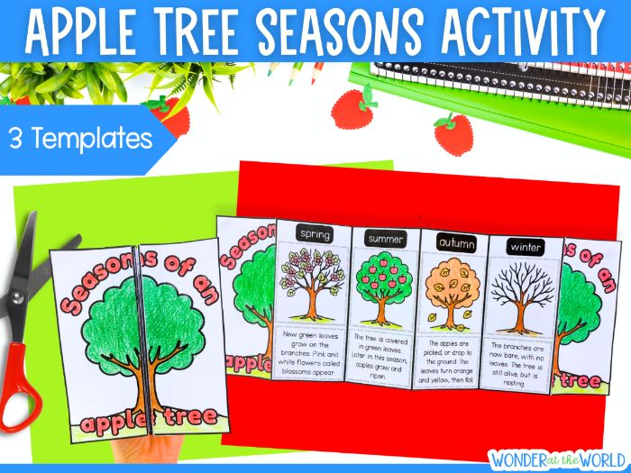 Apple tree 4 seasons cut and paste craft activity KS1 or lower KS2