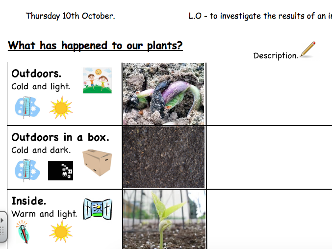 Plant Conditions