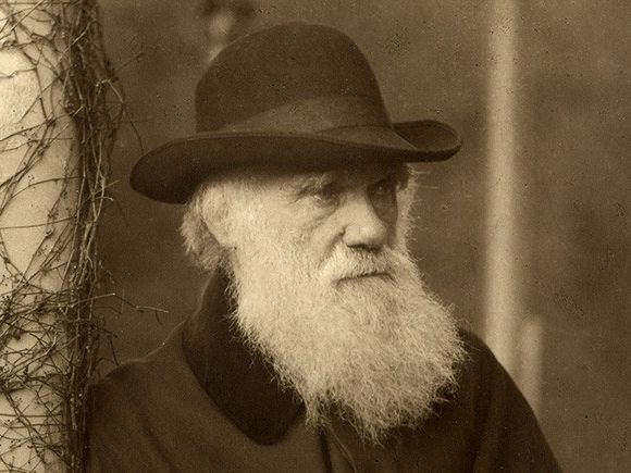 Revolutionary Ideas of the Nineteenth Century