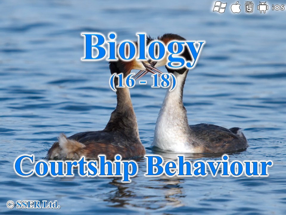 BioA_3.4.5 Courtship Behaviour