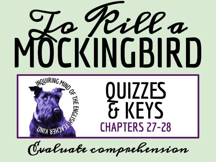 To Kill a Mockingbird Chapters 27 and 28 Quiz and Answer Key | Independent Reading Worksheet