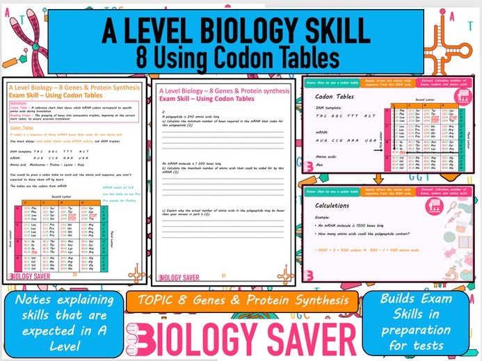A Level Bio Skill - 8 Using Codon Tables