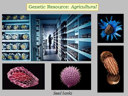 Conservation: PowerPoint show/film, worksheet & notes for distance learning