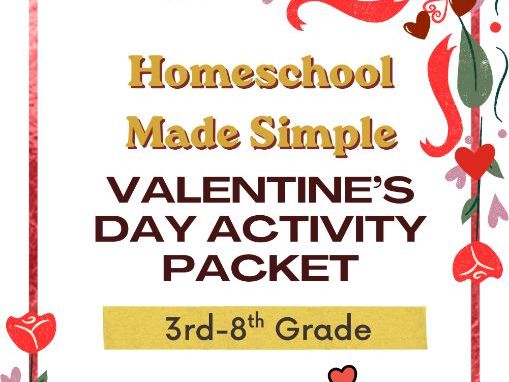 Valentine's Day Activity Packet | Grades 3rd-8th