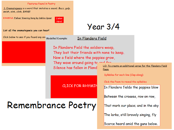 Remembrance Day In Flanders Field Poetry lesson Year 3/4