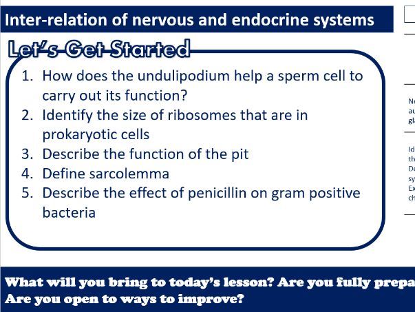 Inter-Relation of Nervous and Endocrine Systems AAQ Applied Science