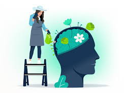 Staff training on Growth Mindset Dweck