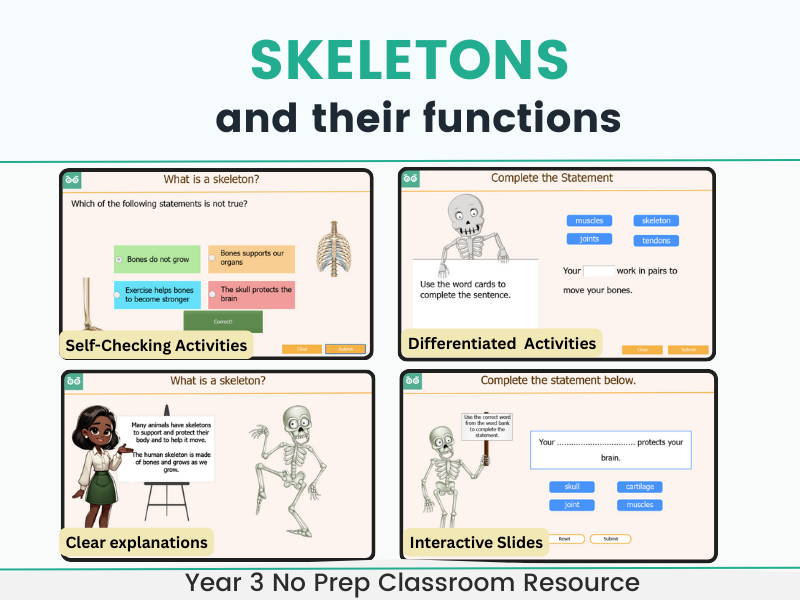 Skeletons and their Functions Interactive Science Lesson with Self-marking Activities Year 3