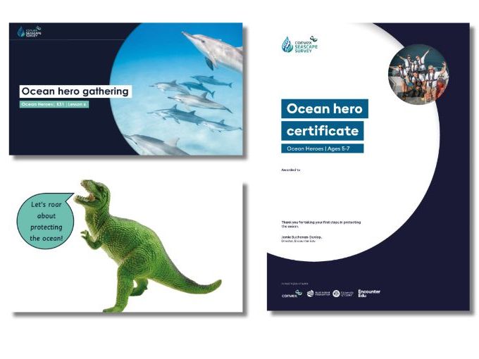 Ocean advocacy KS1 full lesson