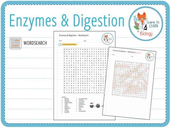 Enzymes and digestion Word search (KS3/4) Teaching Resources