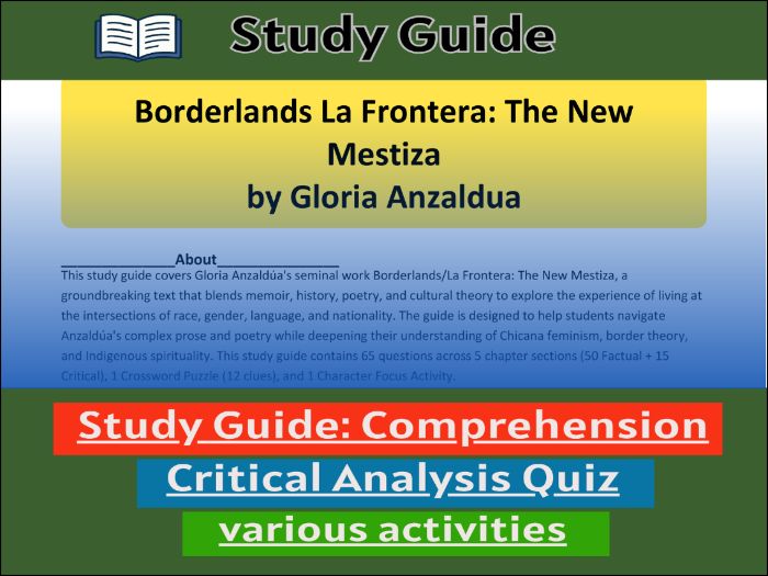 Borderlands La Frontera: The New Mestiza, study guide & Activities