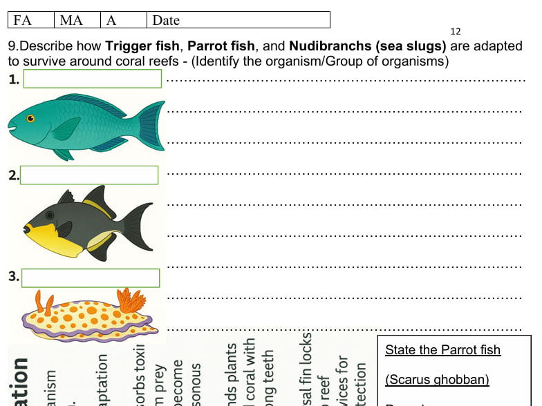 Cambridge IGCSE Marine Science 0697,Chapter 5 Marine Ecology Worksheet