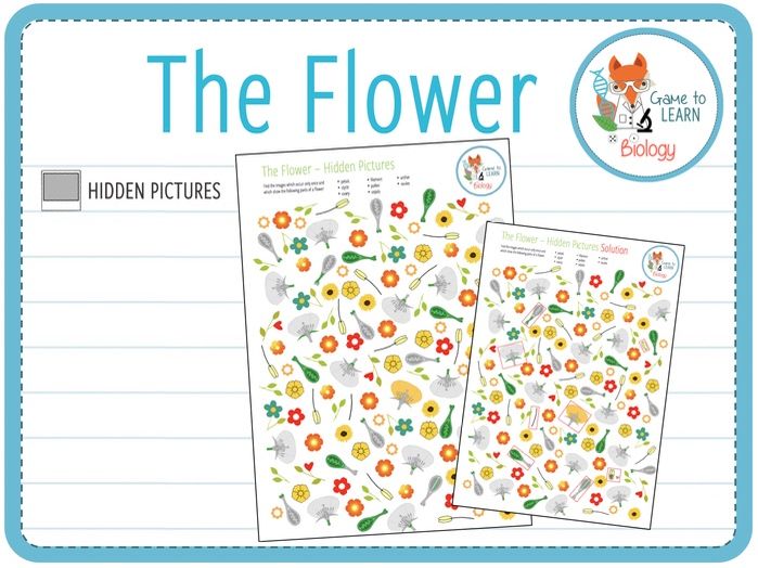 The Flower & Plant Reproduction 12x Games and activities (KS2/3