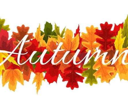 Autumn Sentence Uplevelling Worksheet | KS1 & KS2 Writing | Powerful Adjectives and Verbs