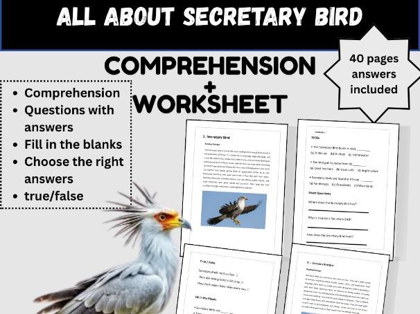 All About the Secretary Bird – Nonfiction Reading & Activities for Kids