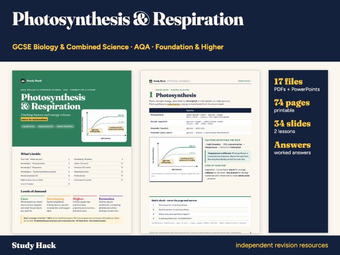 GCSE Biology Photosynthesis and Respiration Pack (AQA)