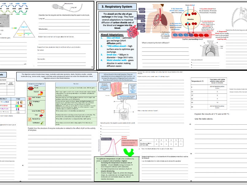 AQA GCSE Biology Organisation Module Triple Revision 3-4 Lessons