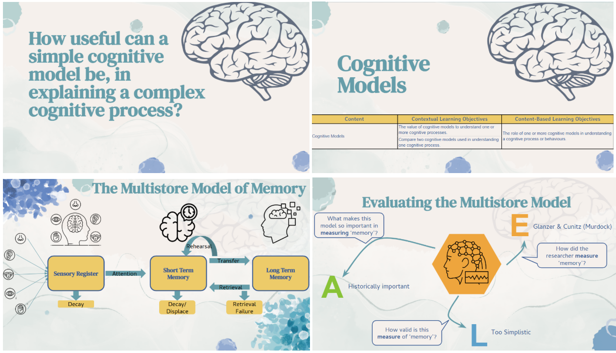 IB Psychology - Learning and Cognition - Complete Resources Set
