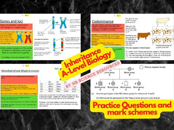 Inheritance A level Biology