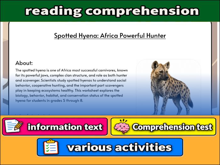 Spotted Hyena: Africa Powerful Hunter - zoology & Activities