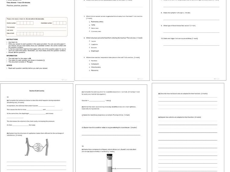 AAQ OCR Cambridge Health & Social Care F091: A&P Mock exams A, B and C