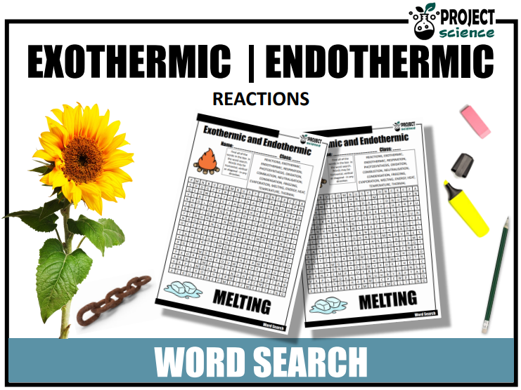 Exothermic and Endothermic Reactions Word Search