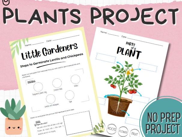 Plants Project Based Learning – Life Cycle, Parts of a Plant (60+ Pages | KS2 ESL | No prep )