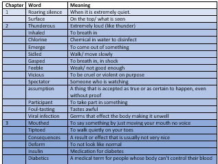 Pig Heart Boy full Vocab break down