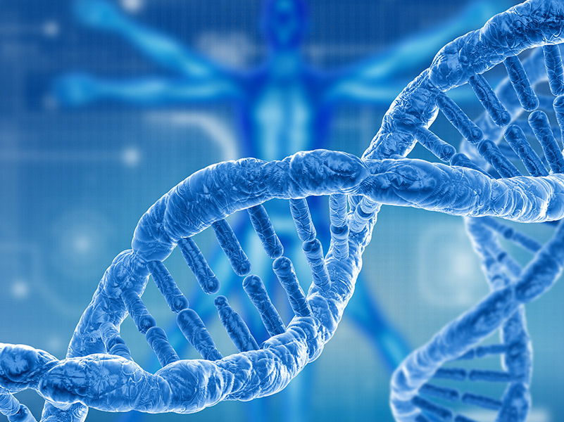 GCSE Biology - Cell biology