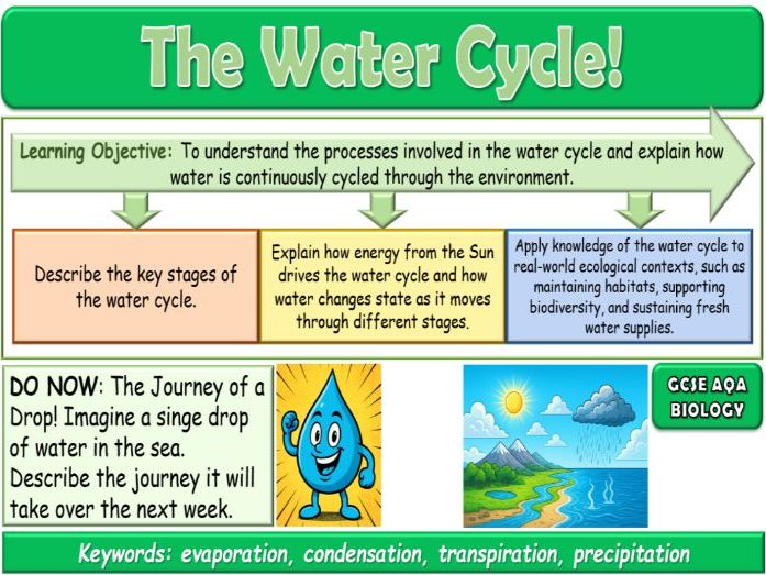 The Water Cycle AQA GCSE (9-1) Biology