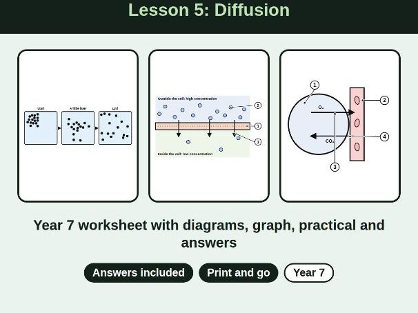 Lesson 5: Year 7 Diffusion Worksheet + Answers