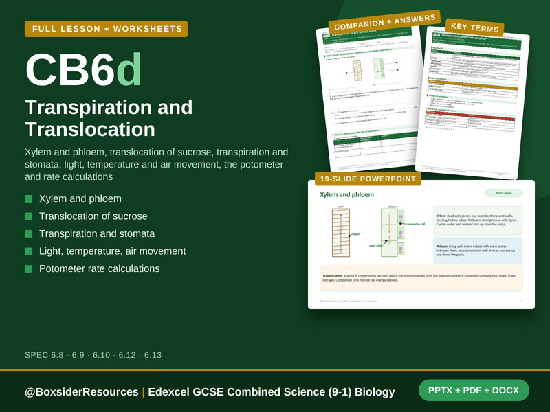 CB6d Transpiration and Translocation | Edexcel GCSE Combined Science (9-1) | Lesson + Worksheet