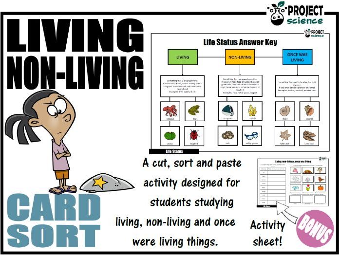 Living, Non-living and Once was Living Card Sort