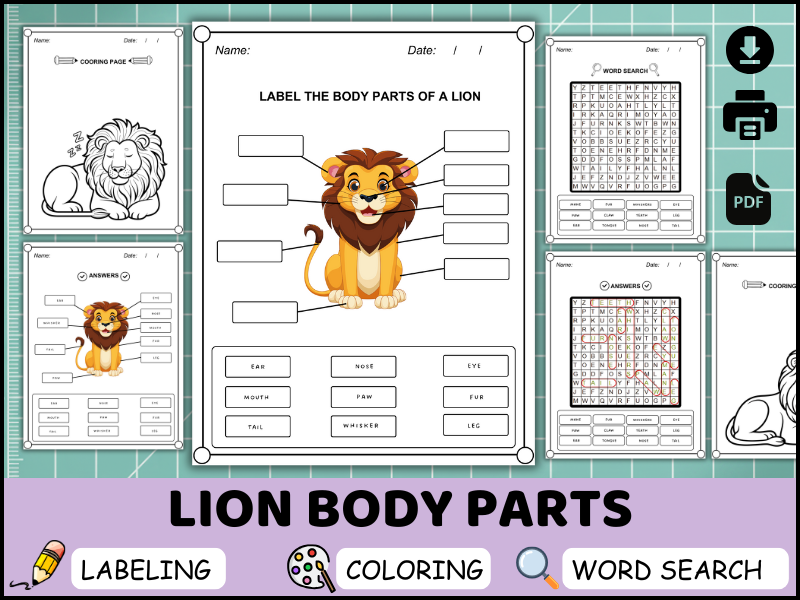 Lion Body Parts Worksheet, Labeling Activity, Coloring Page, Word Search Printable (PDF)