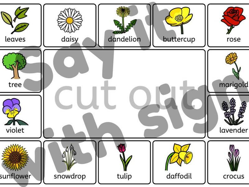 Flowers Visual Communication Board